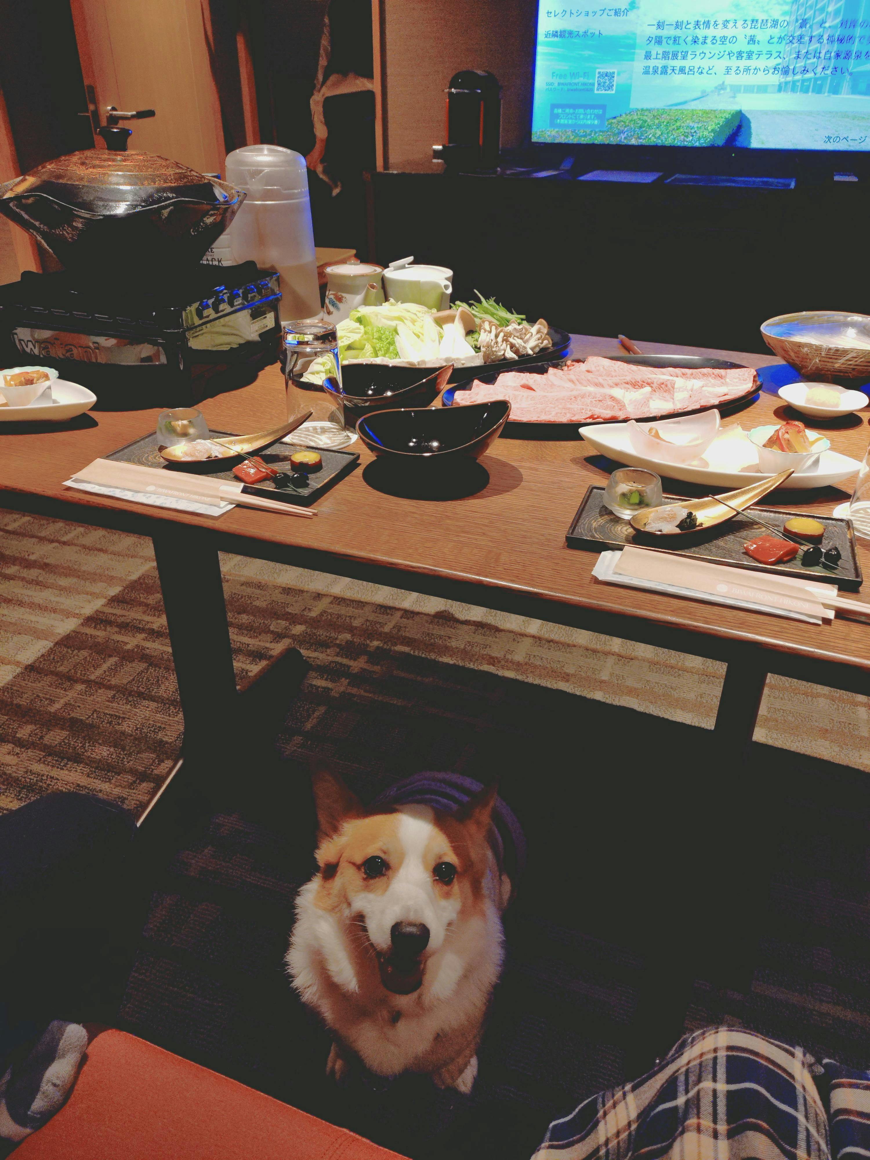 クチコミ画像