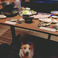 クチコミ画像