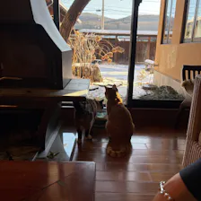 クチコミ画像
