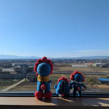 クチコミ画像