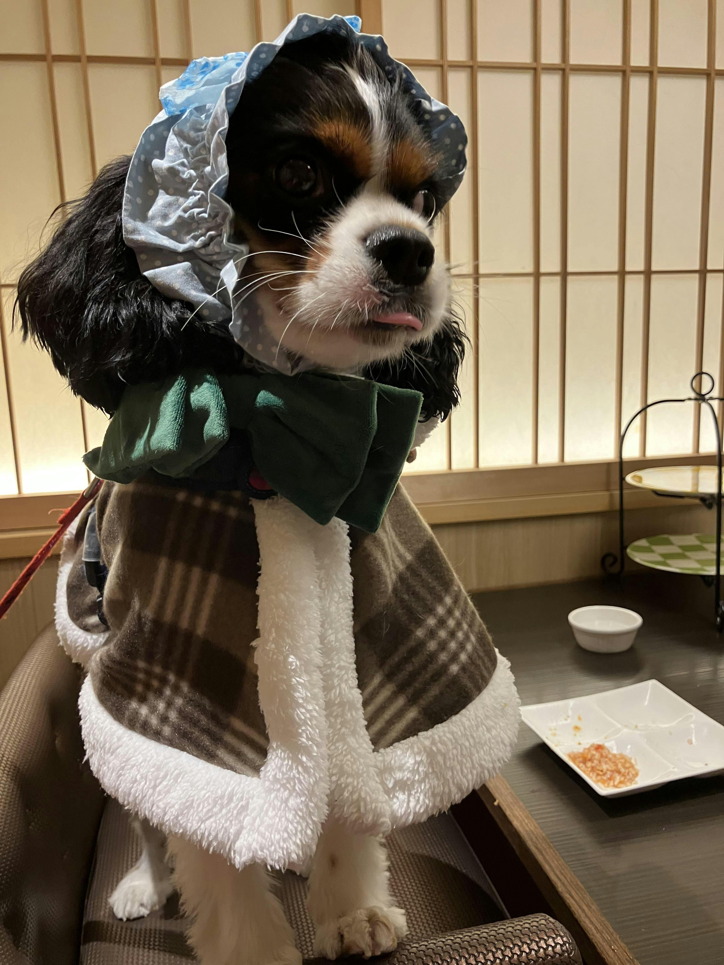 クチコミ画像