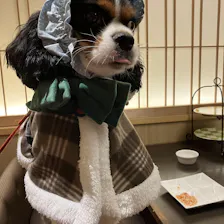クチコミ画像