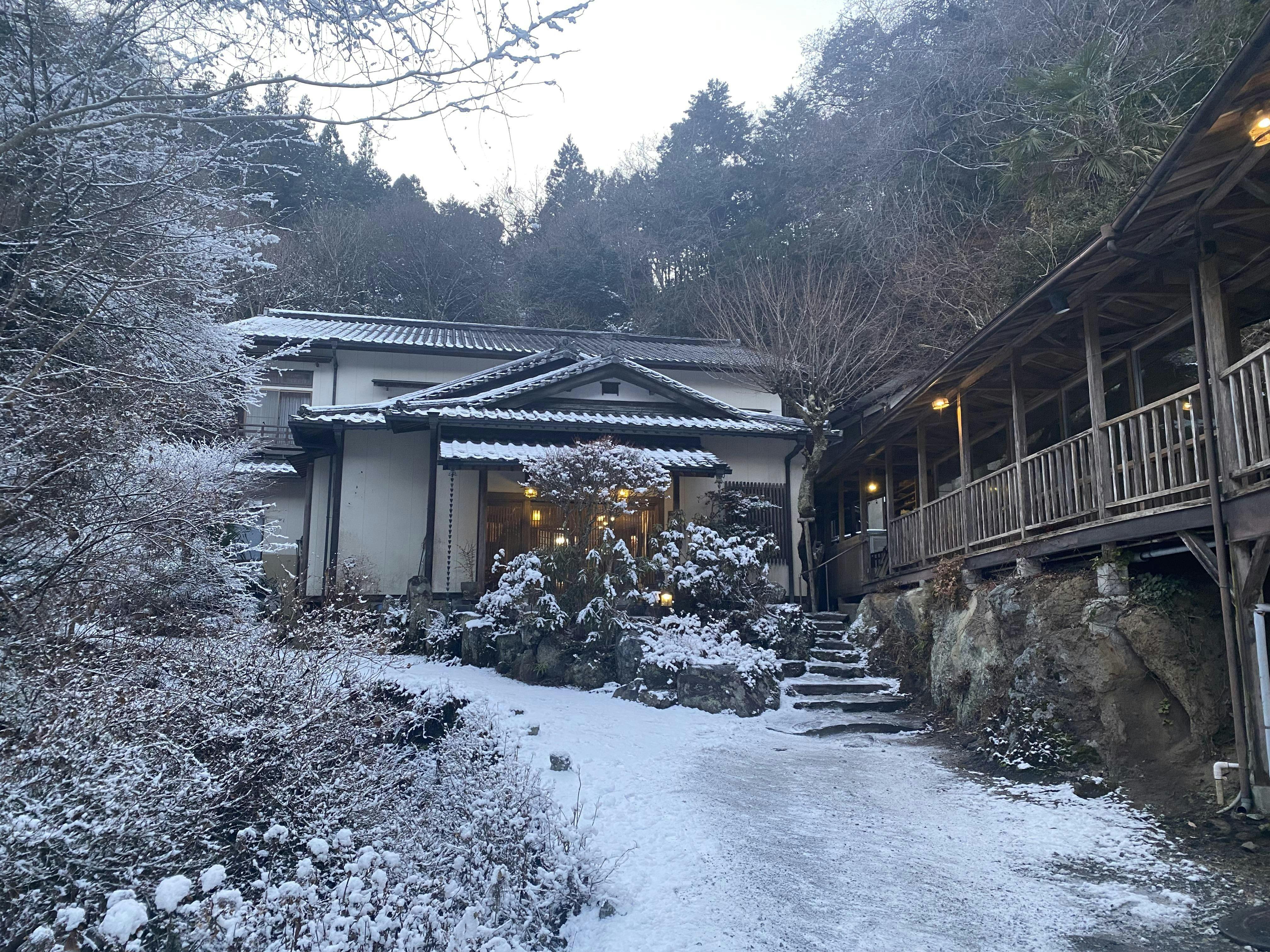 クチコミ画像