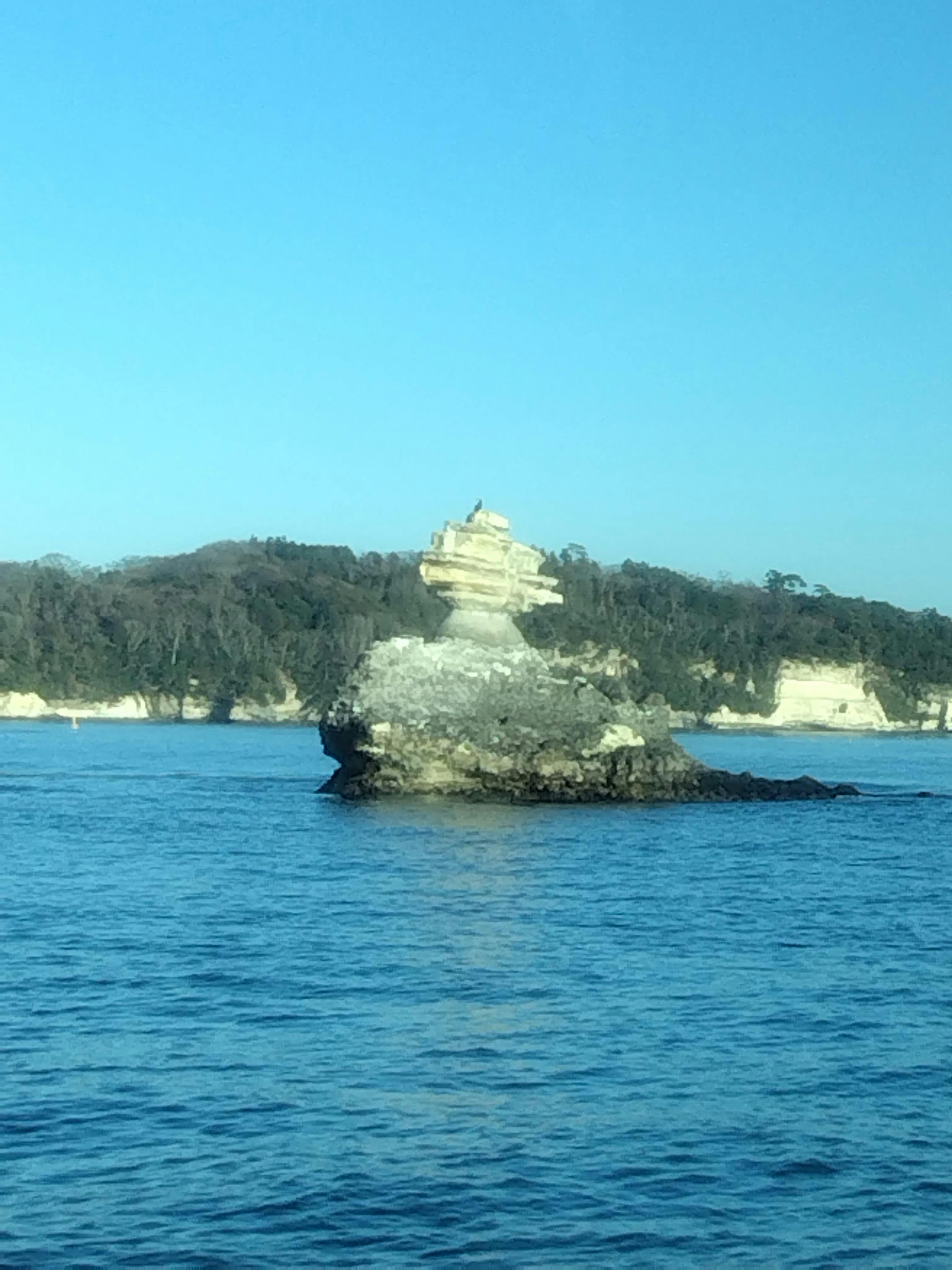 クチコミ画像