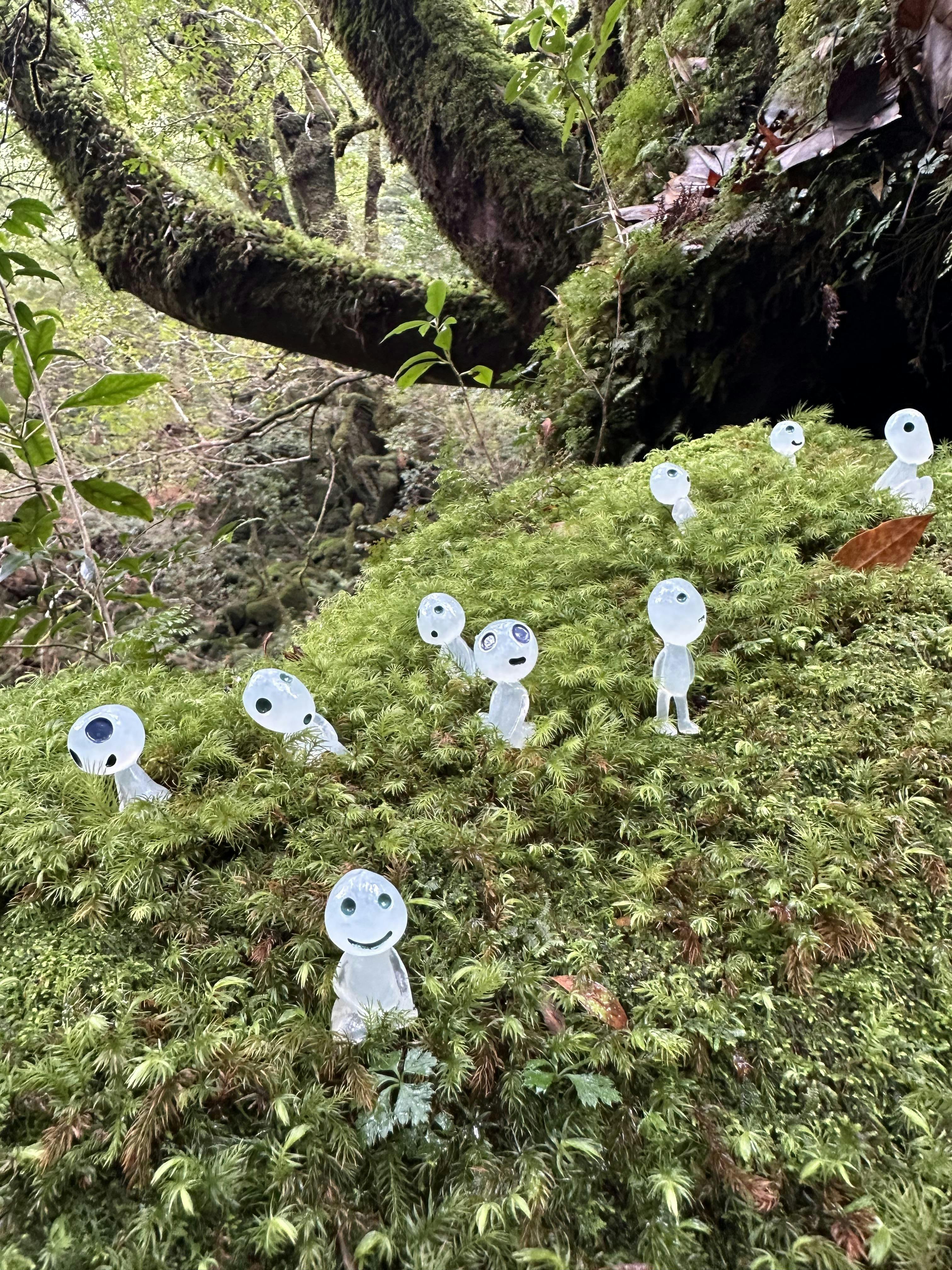 クチコミ画像