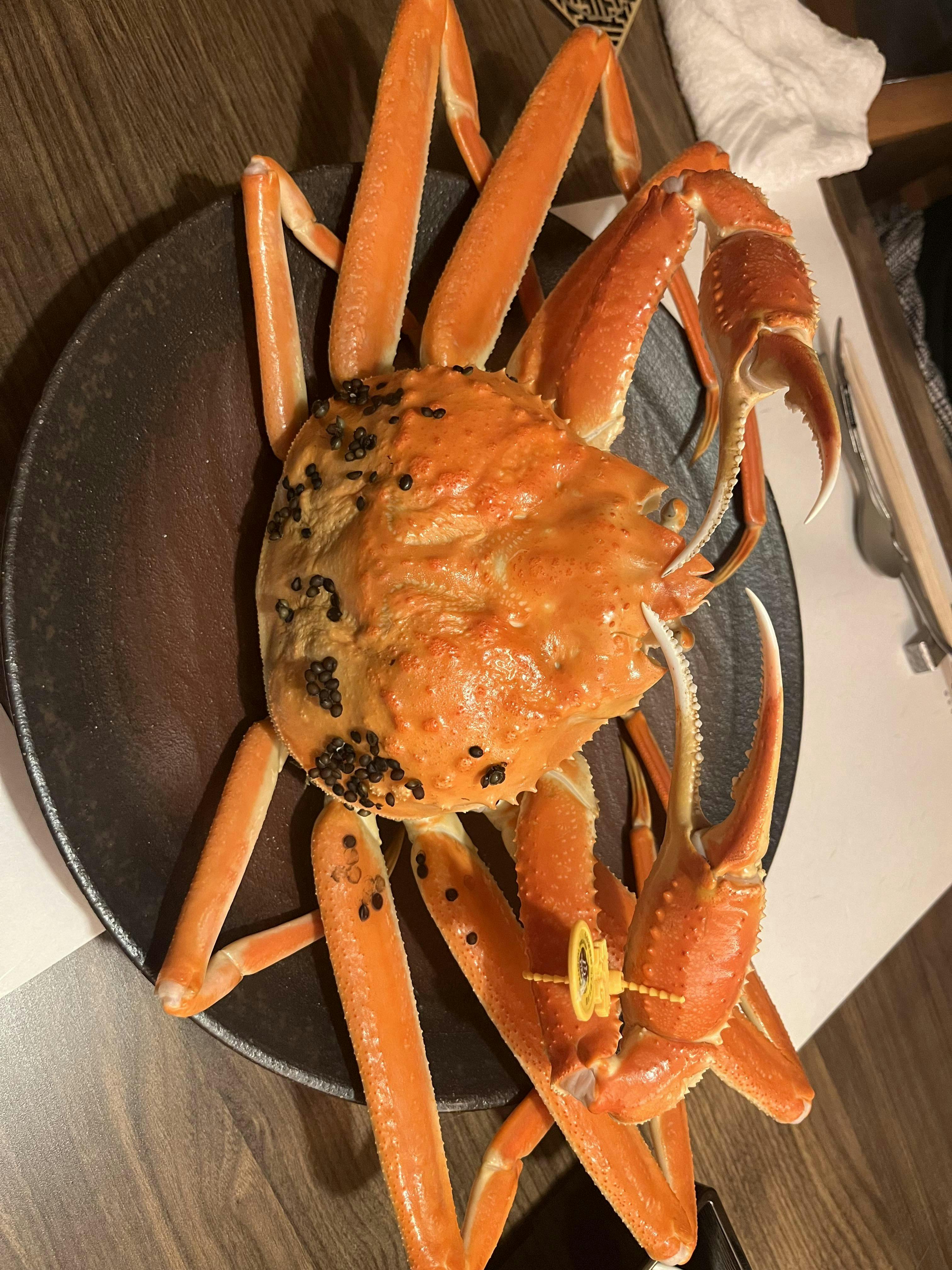 クチコミ画像