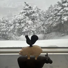 クチコミ画像
