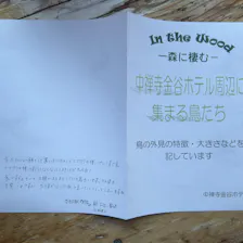 クチコミ画像