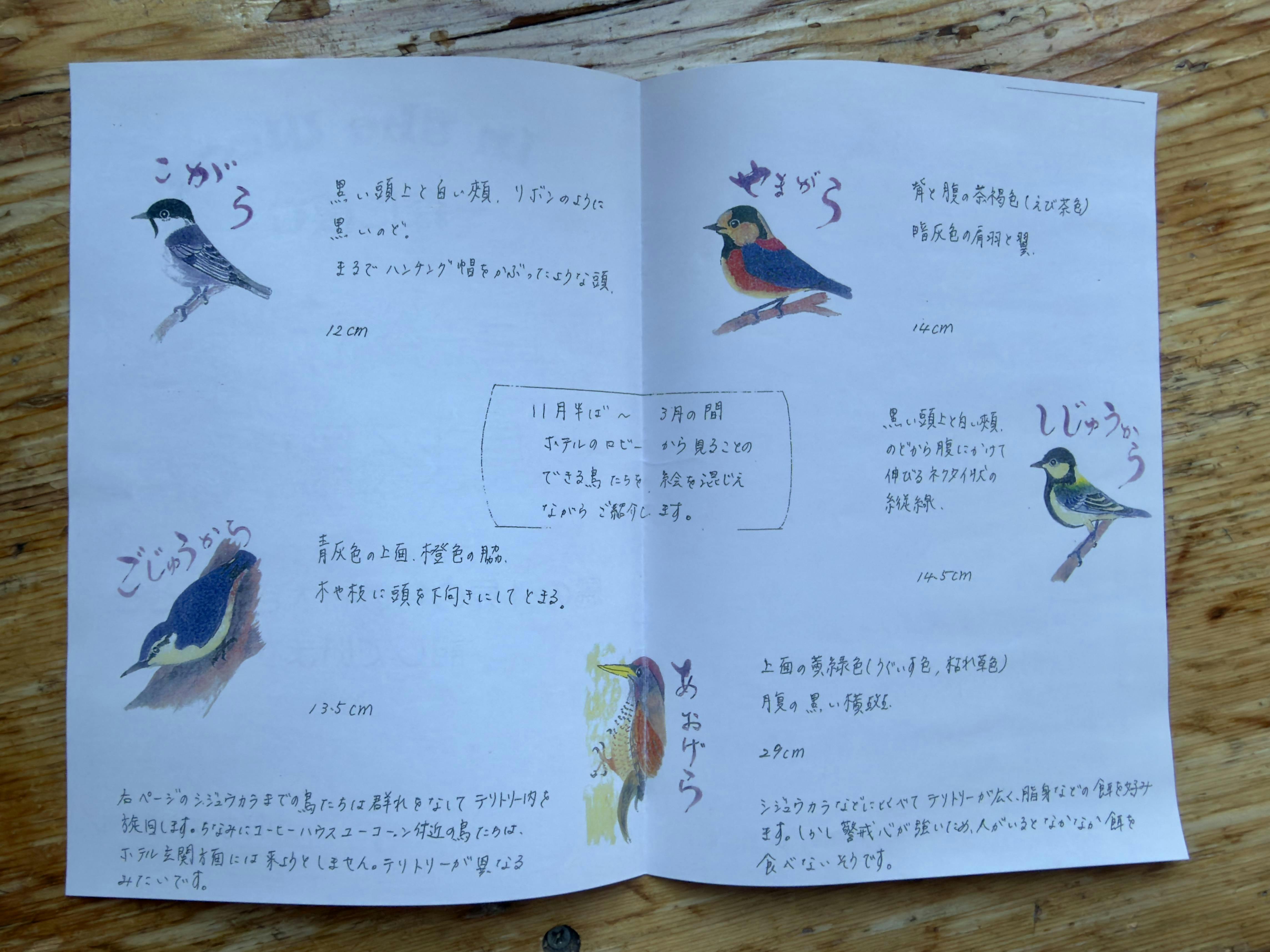 クチコミ画像
