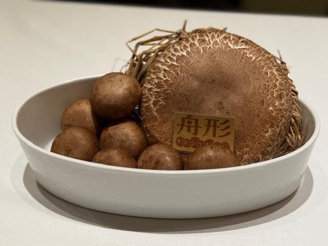 クチコミ画像