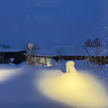 クチコミ画像