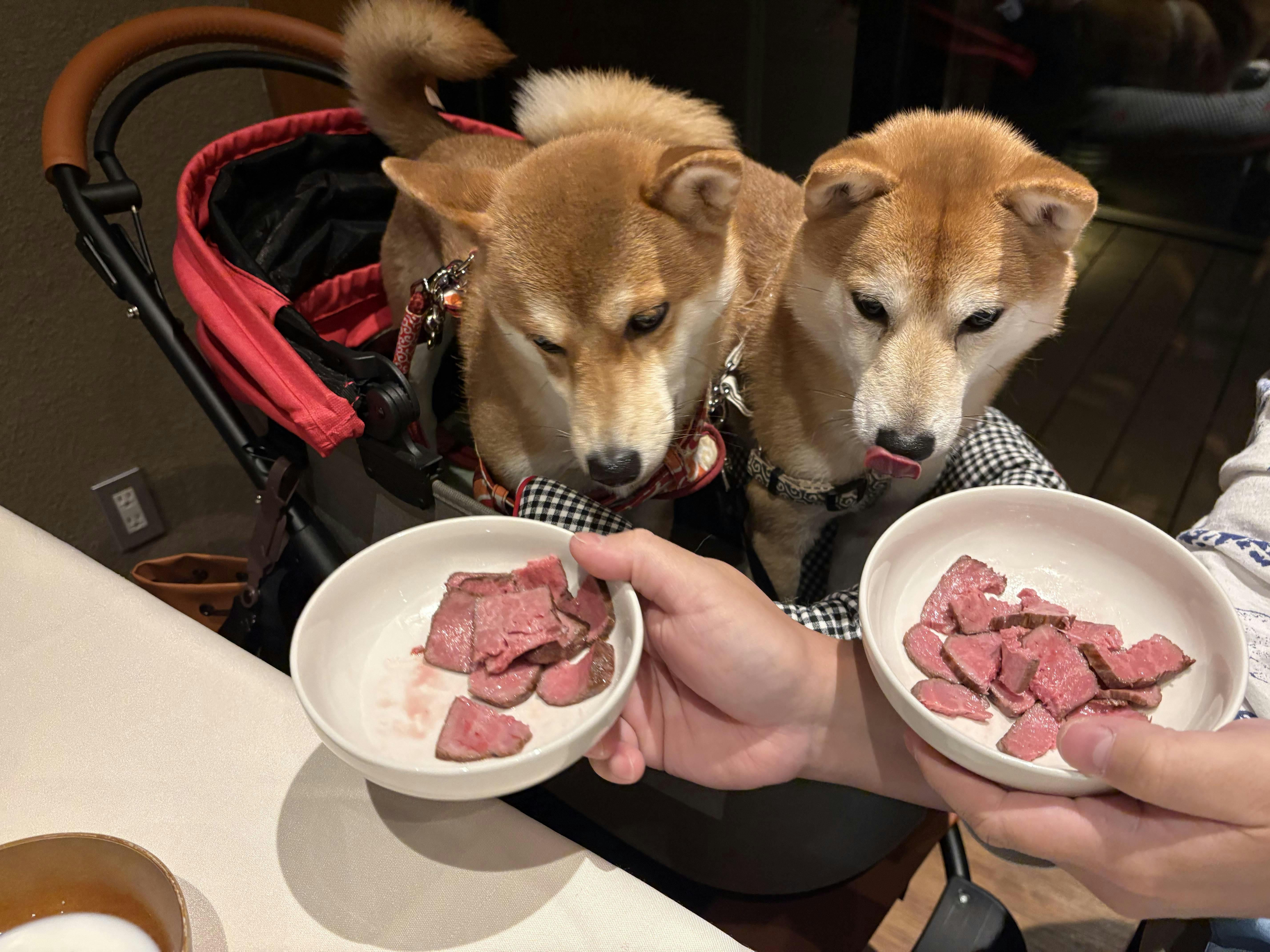 クチコミ画像