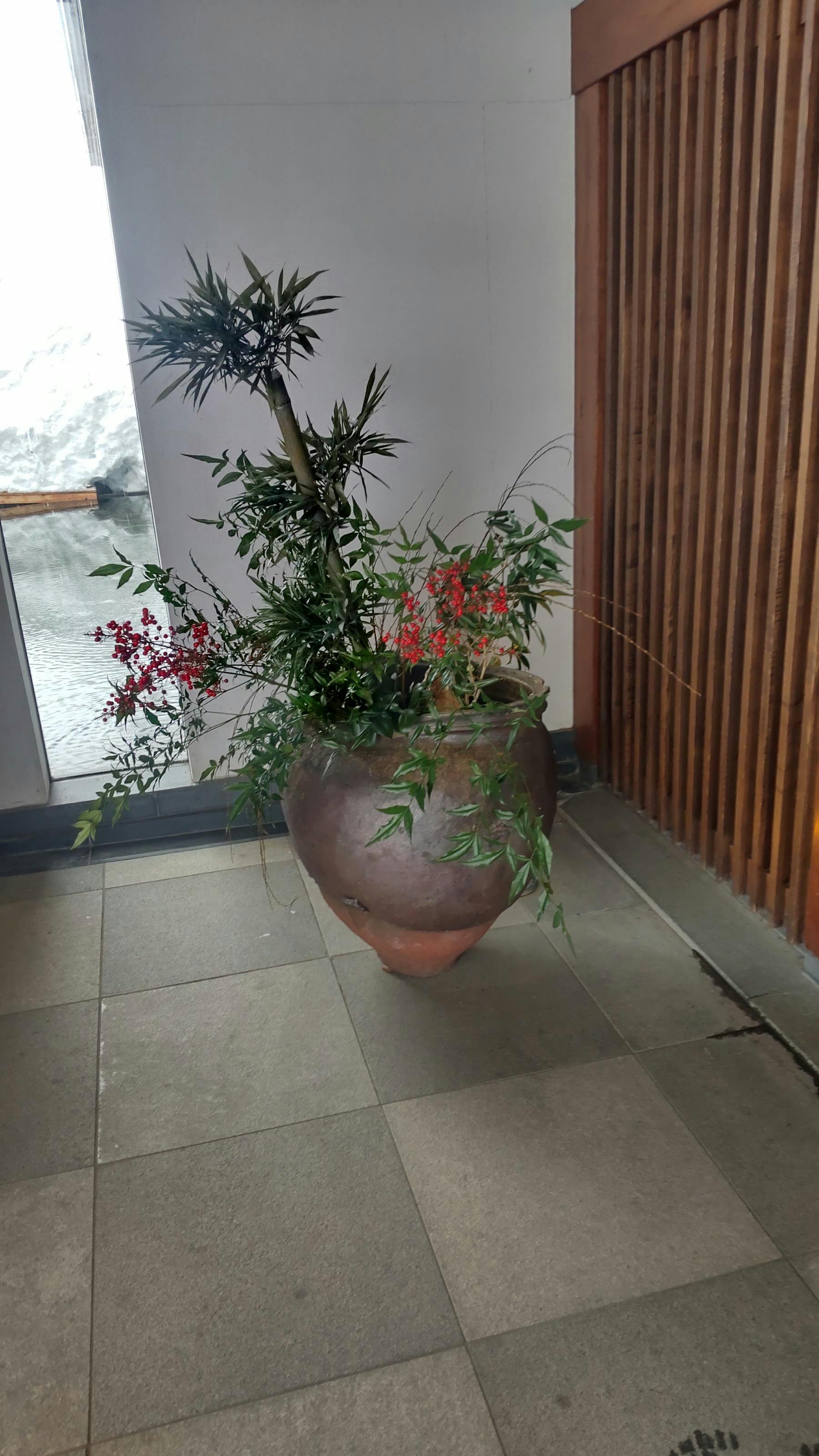 クチコミ画像