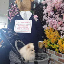 クチコミ画像