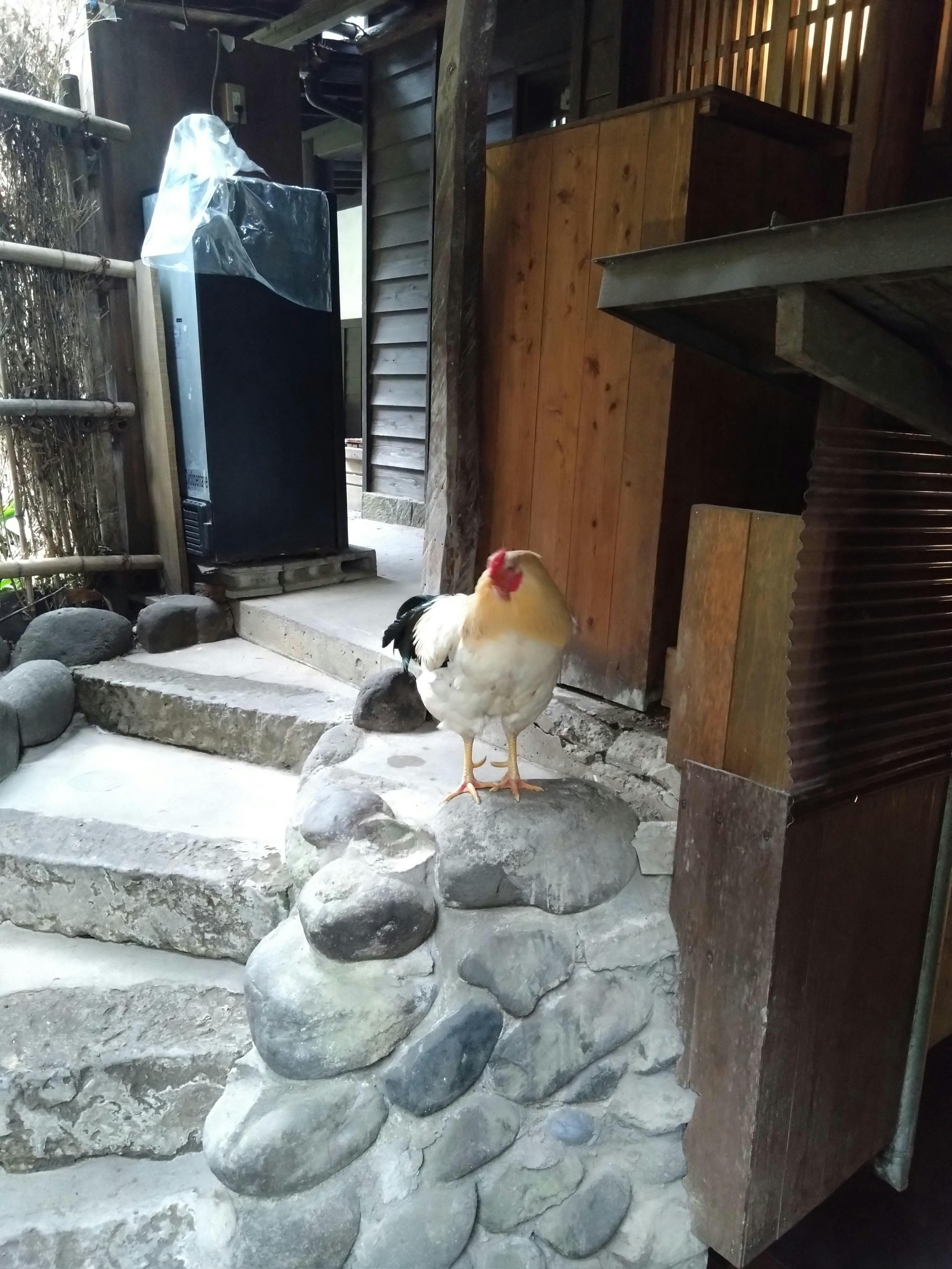 クチコミ画像