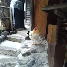 クチコミ画像