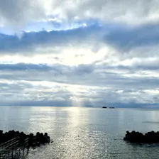クチコミ画像