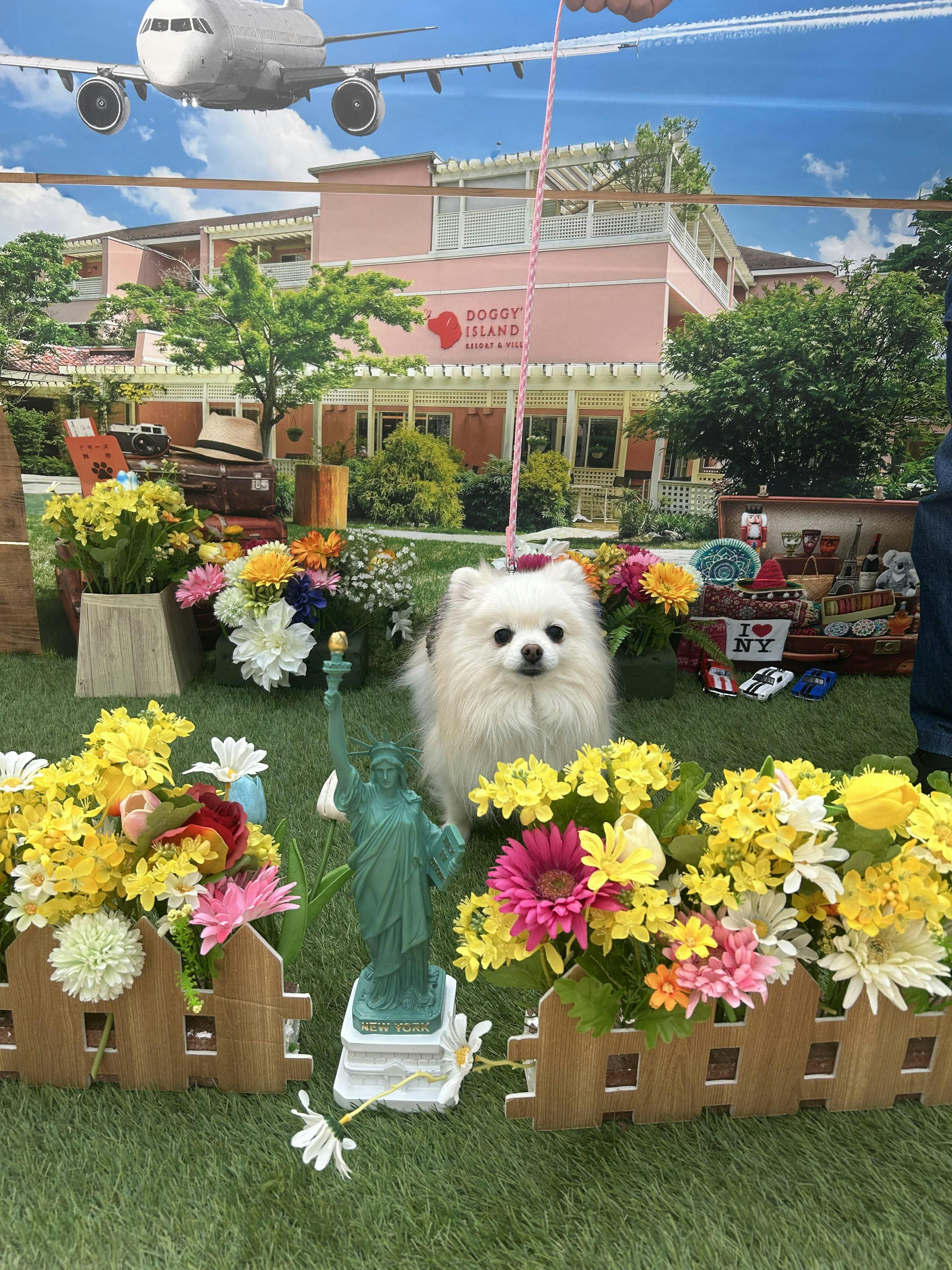 クチコミ画像