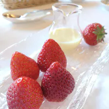 クチコミ画像