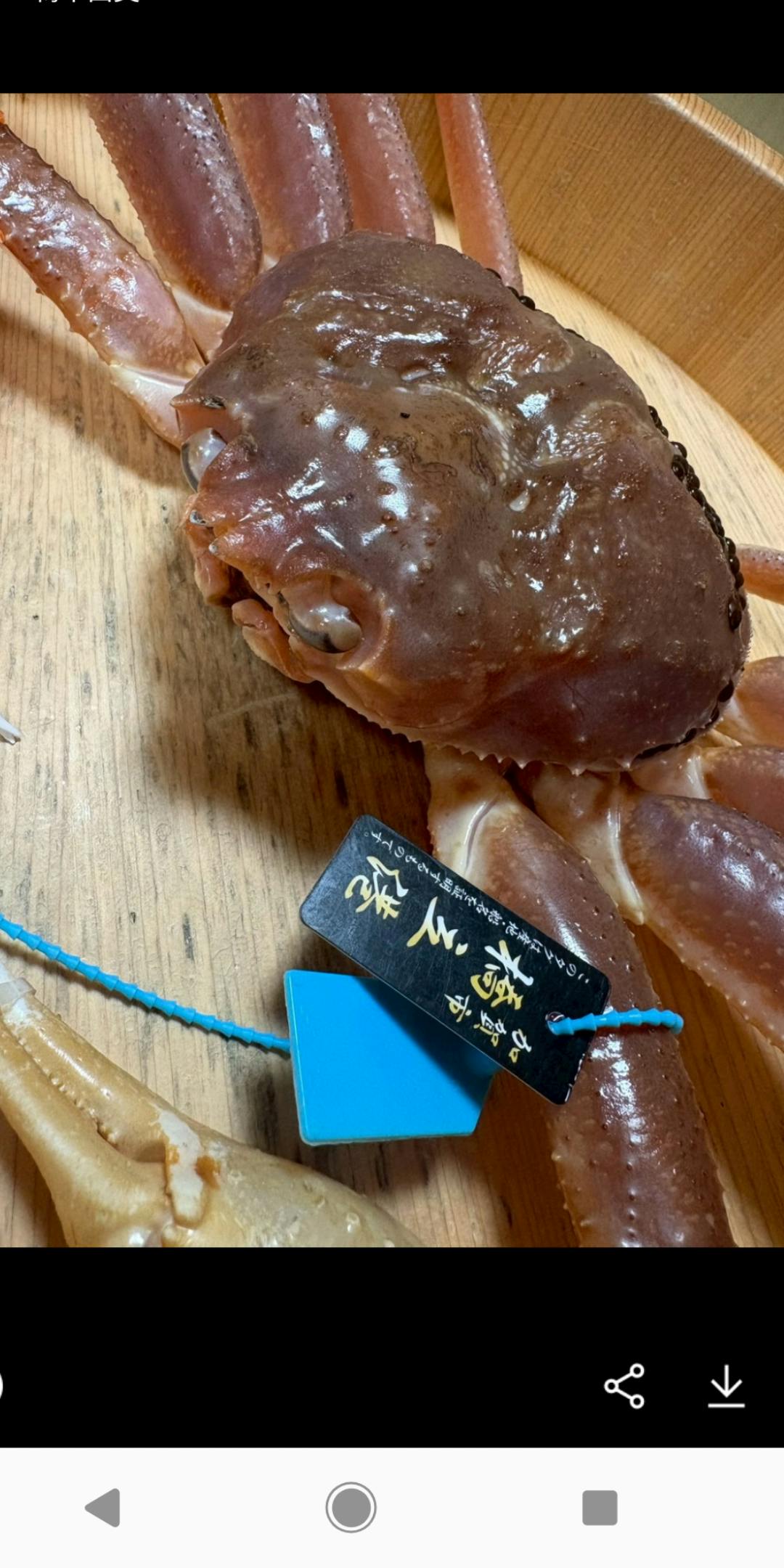 クチコミ画像
