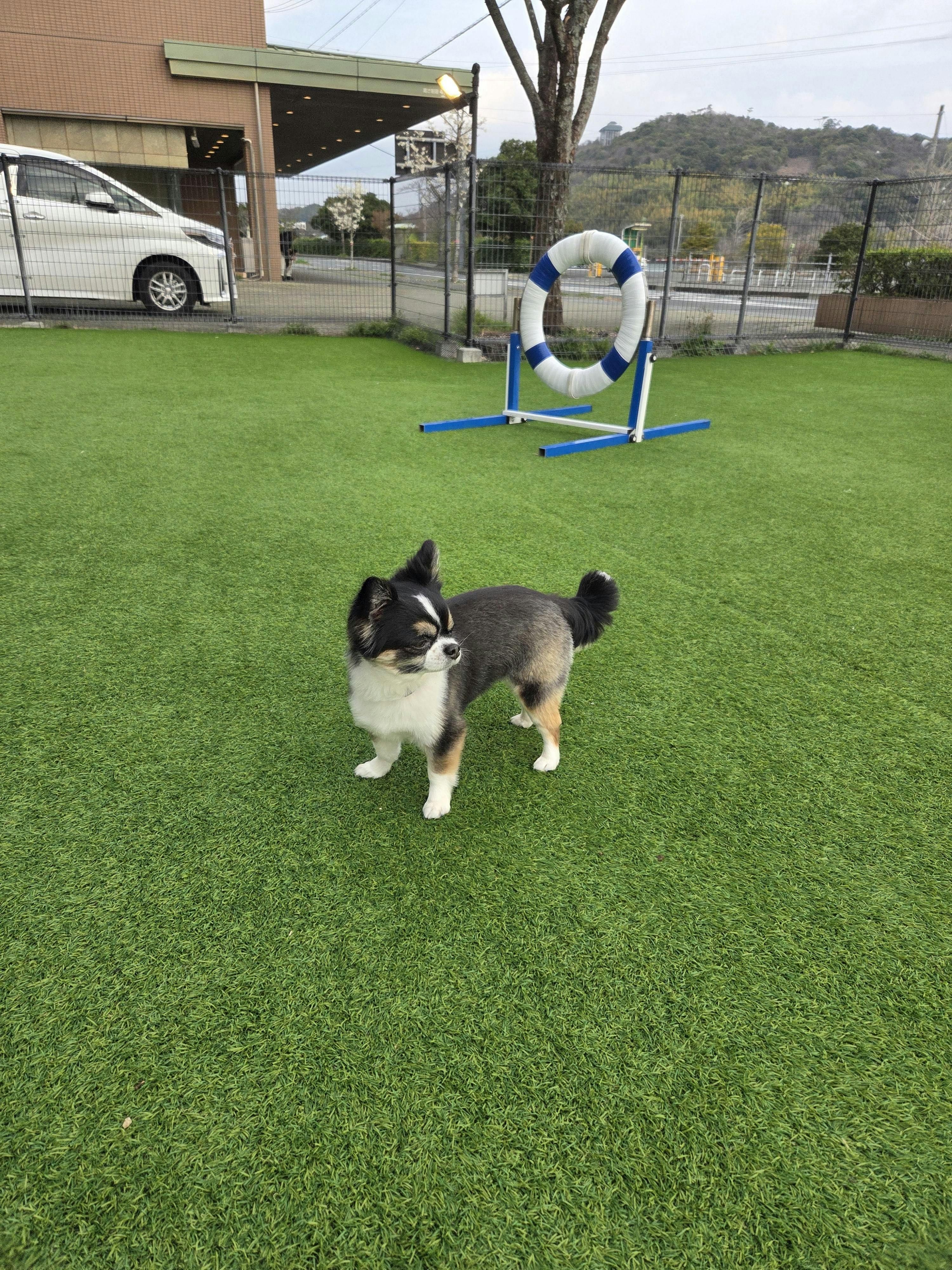 クチコミ画像