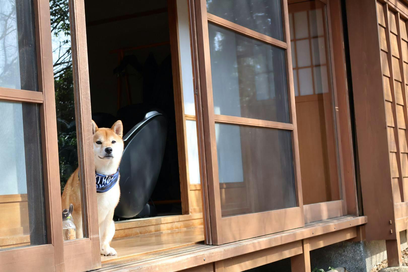 クチコミ画像