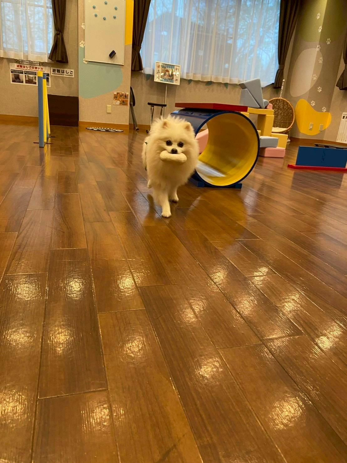 クチコミ画像