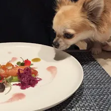 クチコミ画像