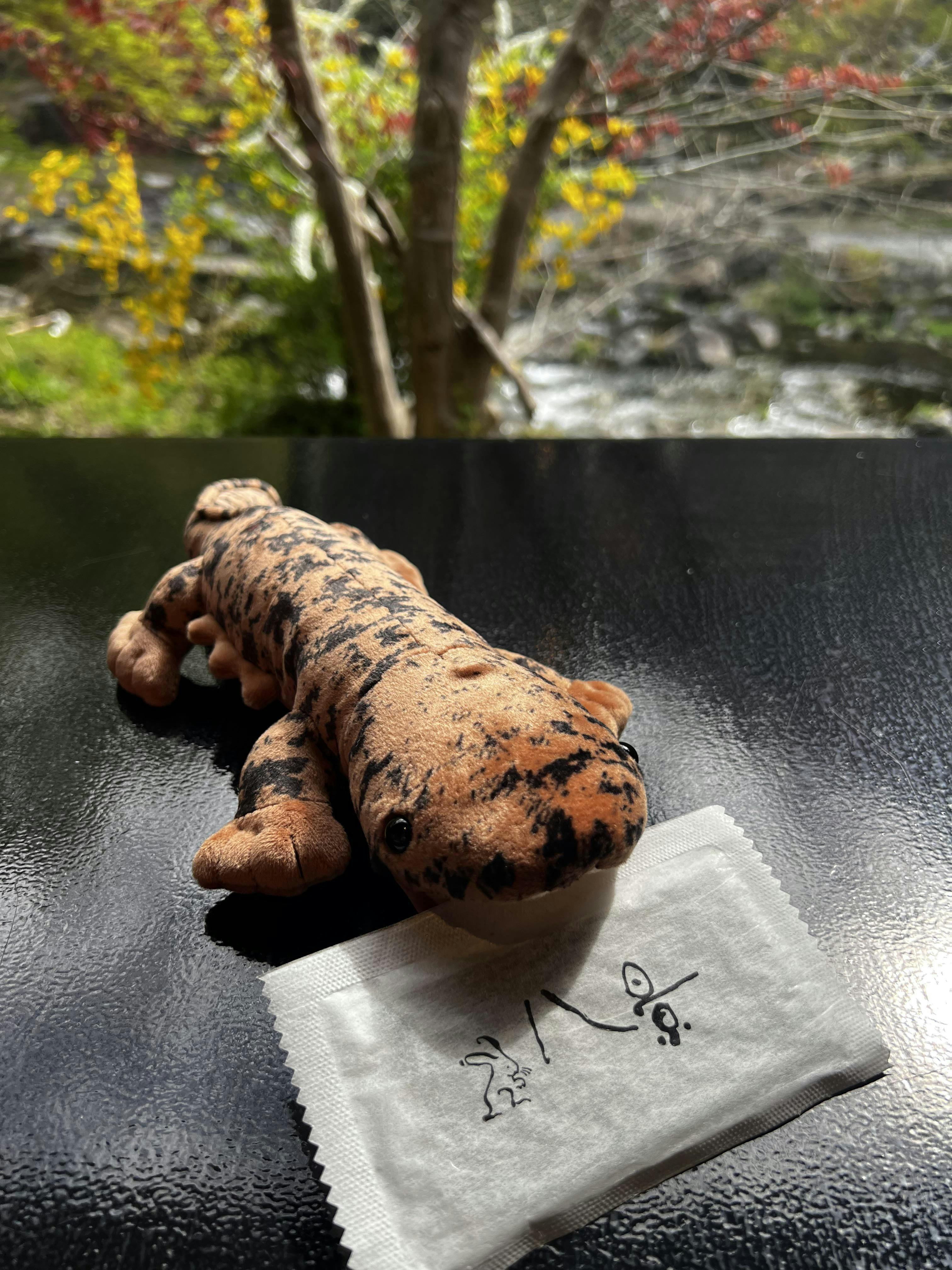 クチコミ画像