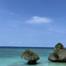クチコミ画像