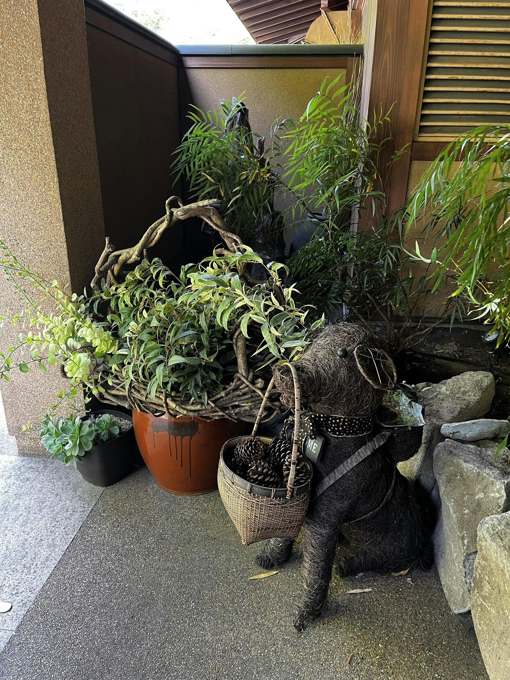 クチコミ画像