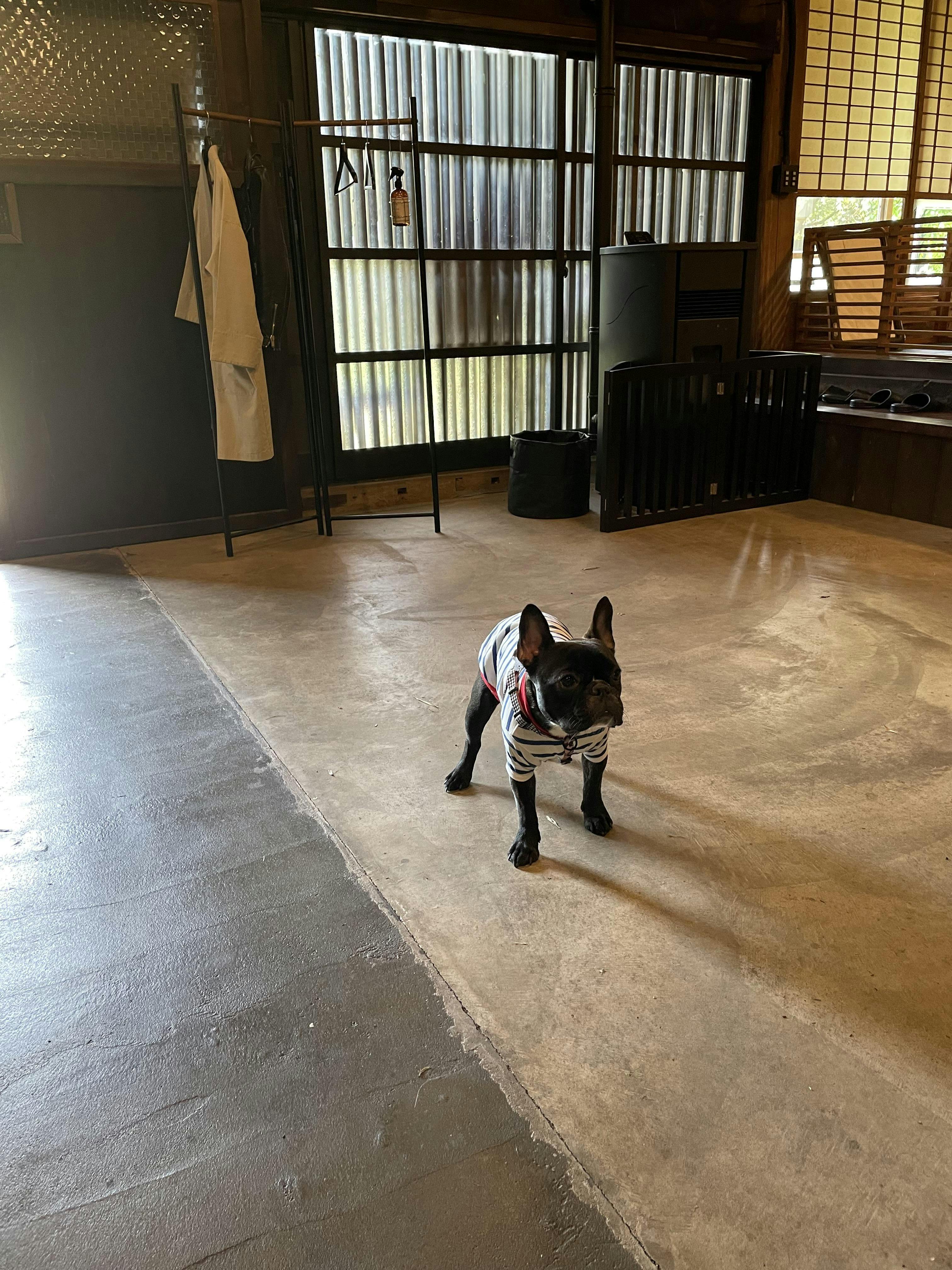 クチコミ画像