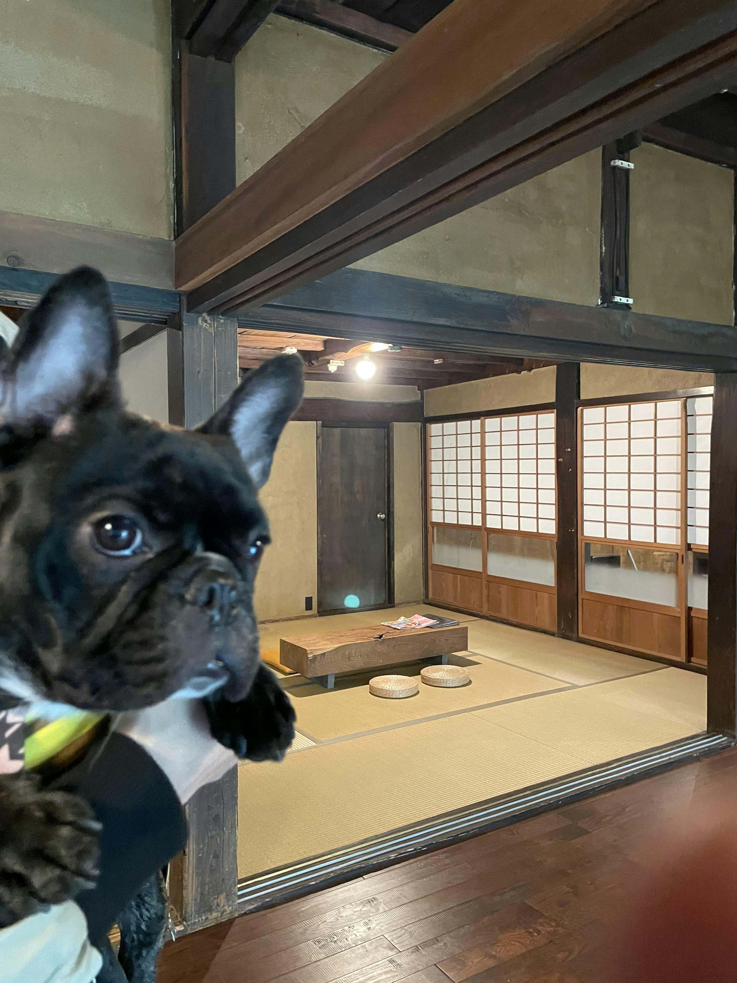 クチコミ画像