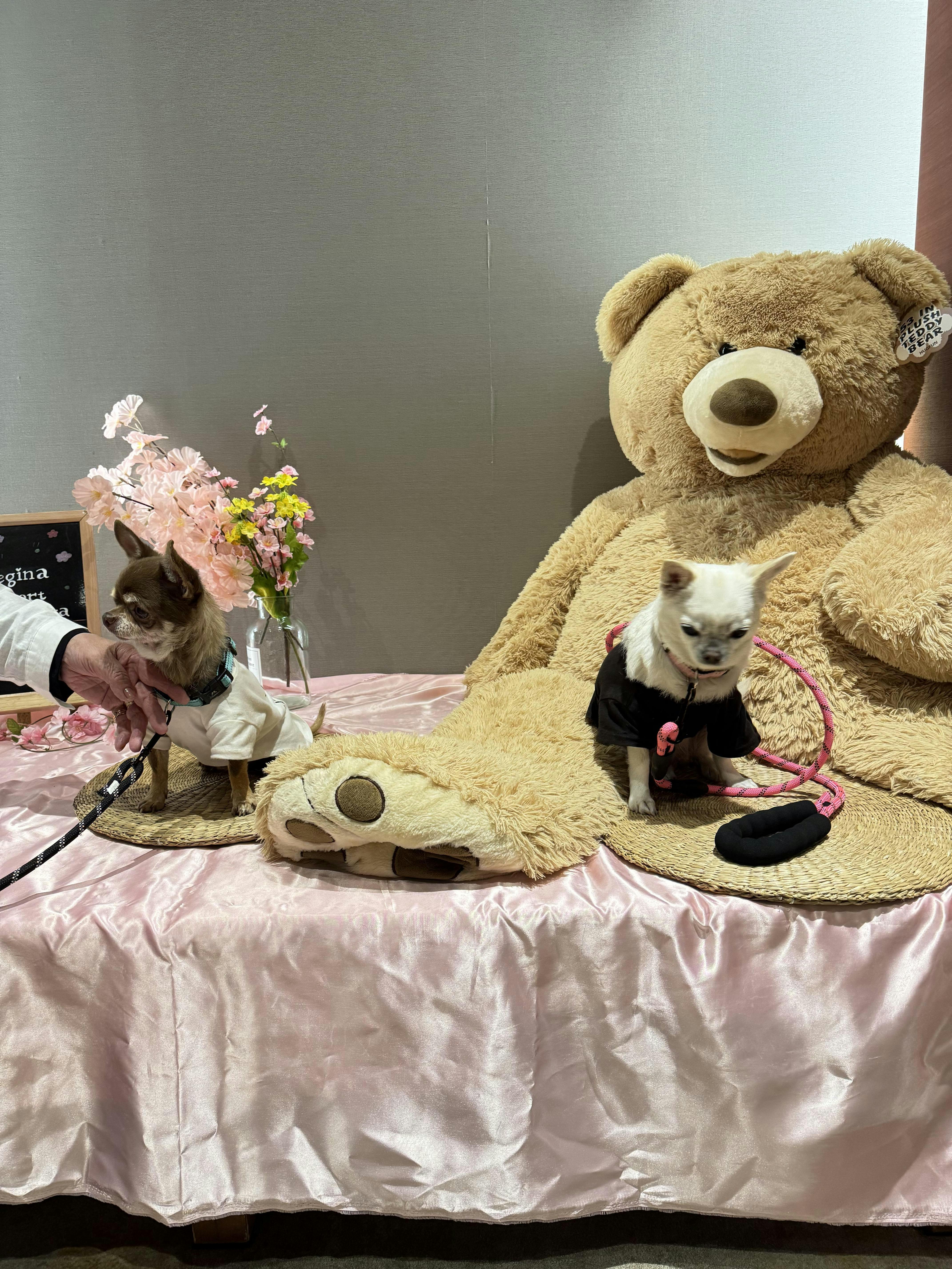 クチコミ画像