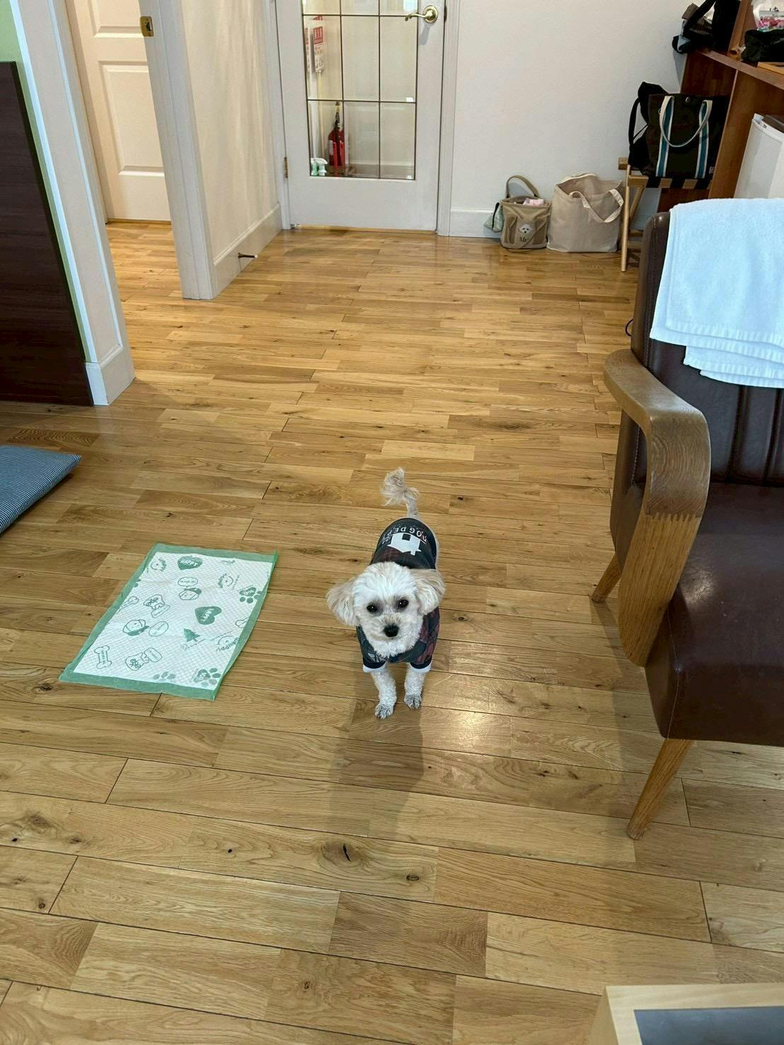 クチコミ画像