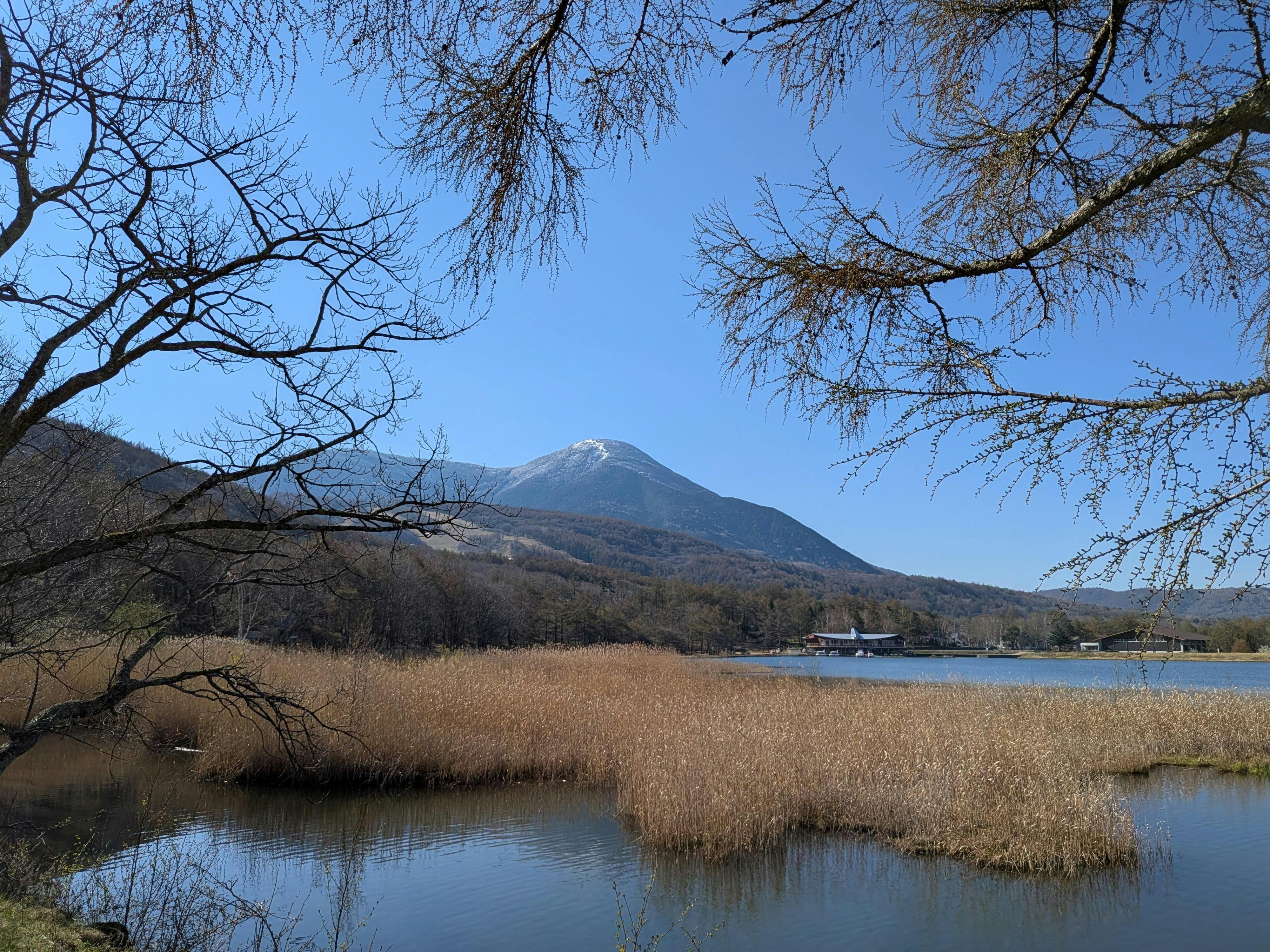 クチコミ画像