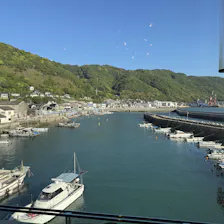 クチコミ画像