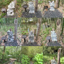 クチコミ画像