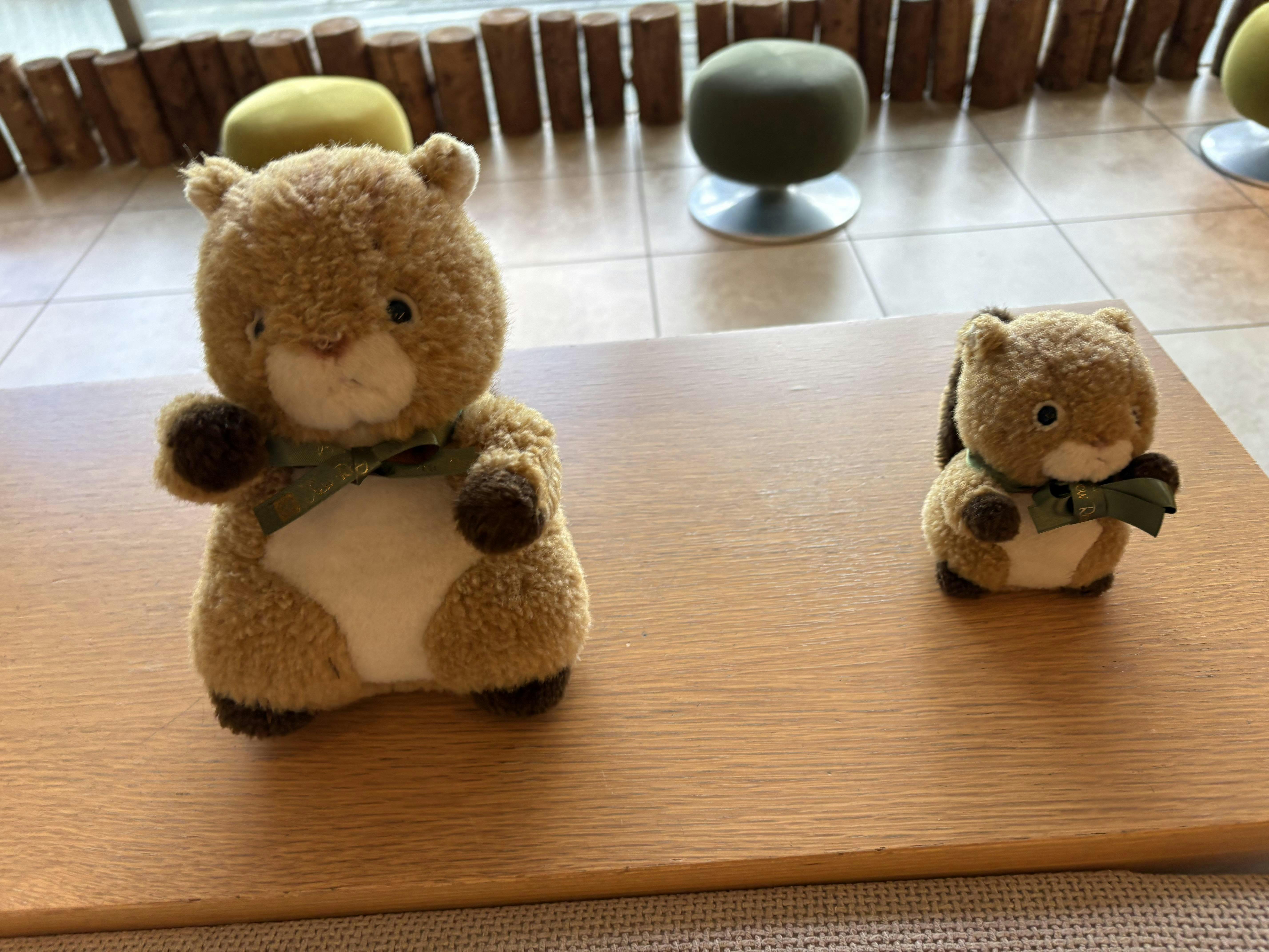 クチコミ画像