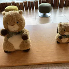 クチコミ画像