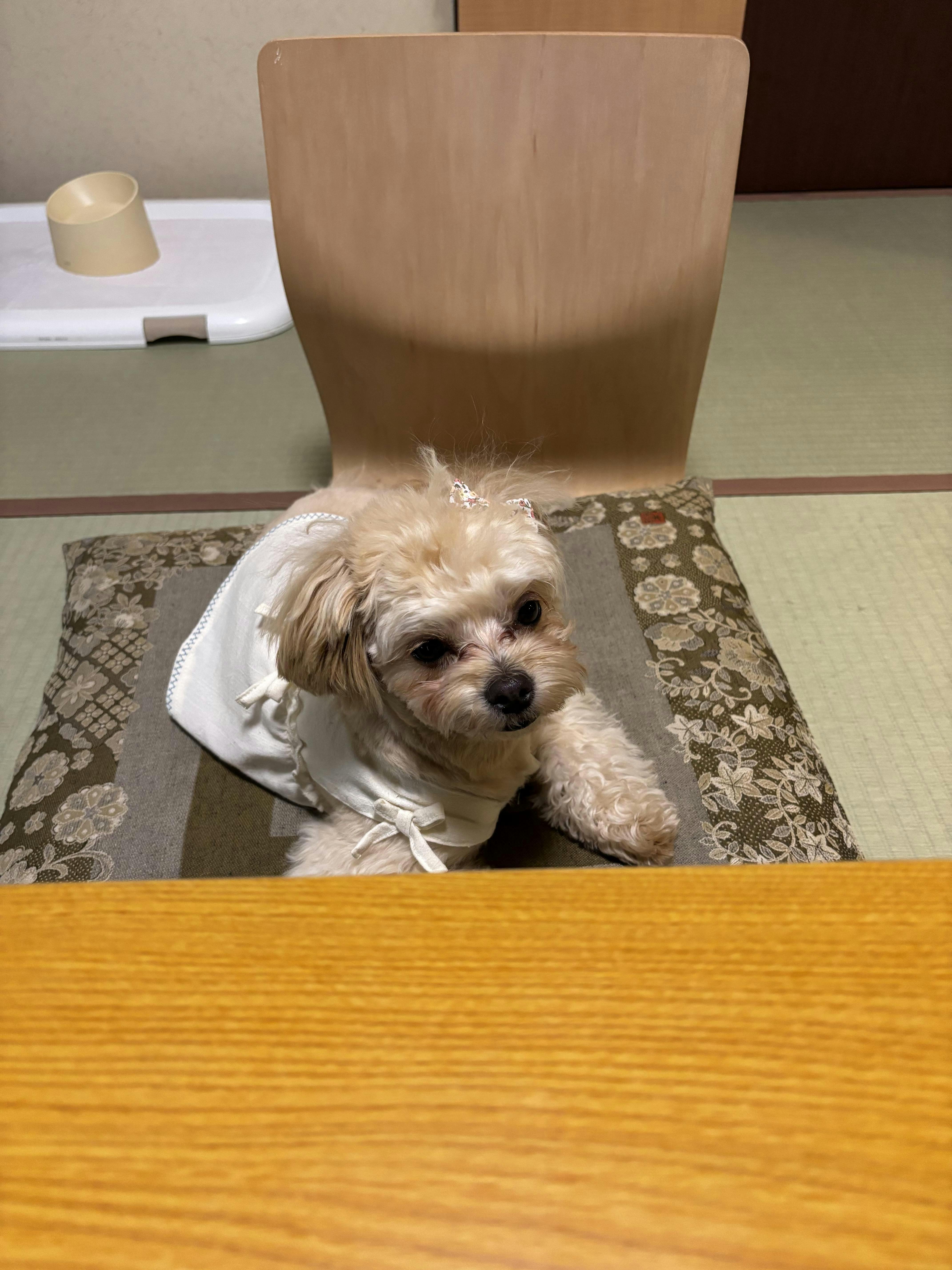 クチコミ画像