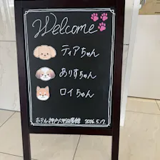 クチコミ画像