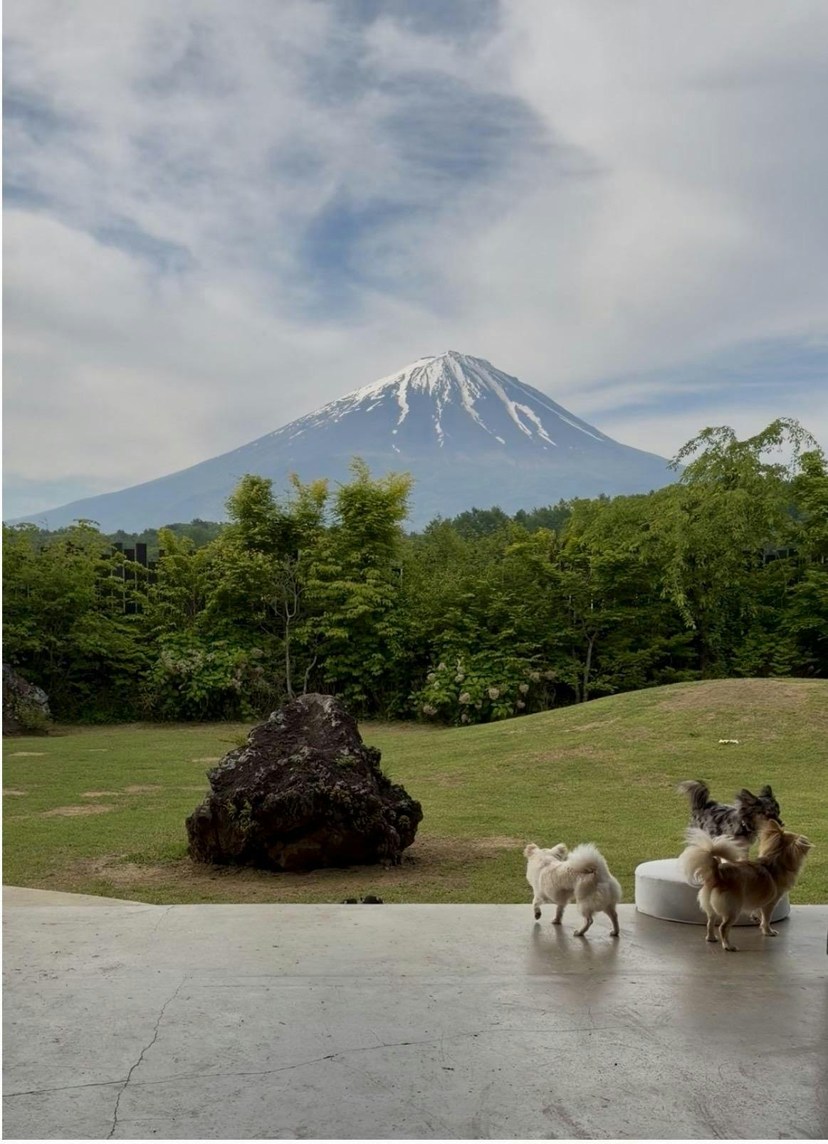 クチコミ画像