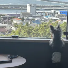 クチコミ画像