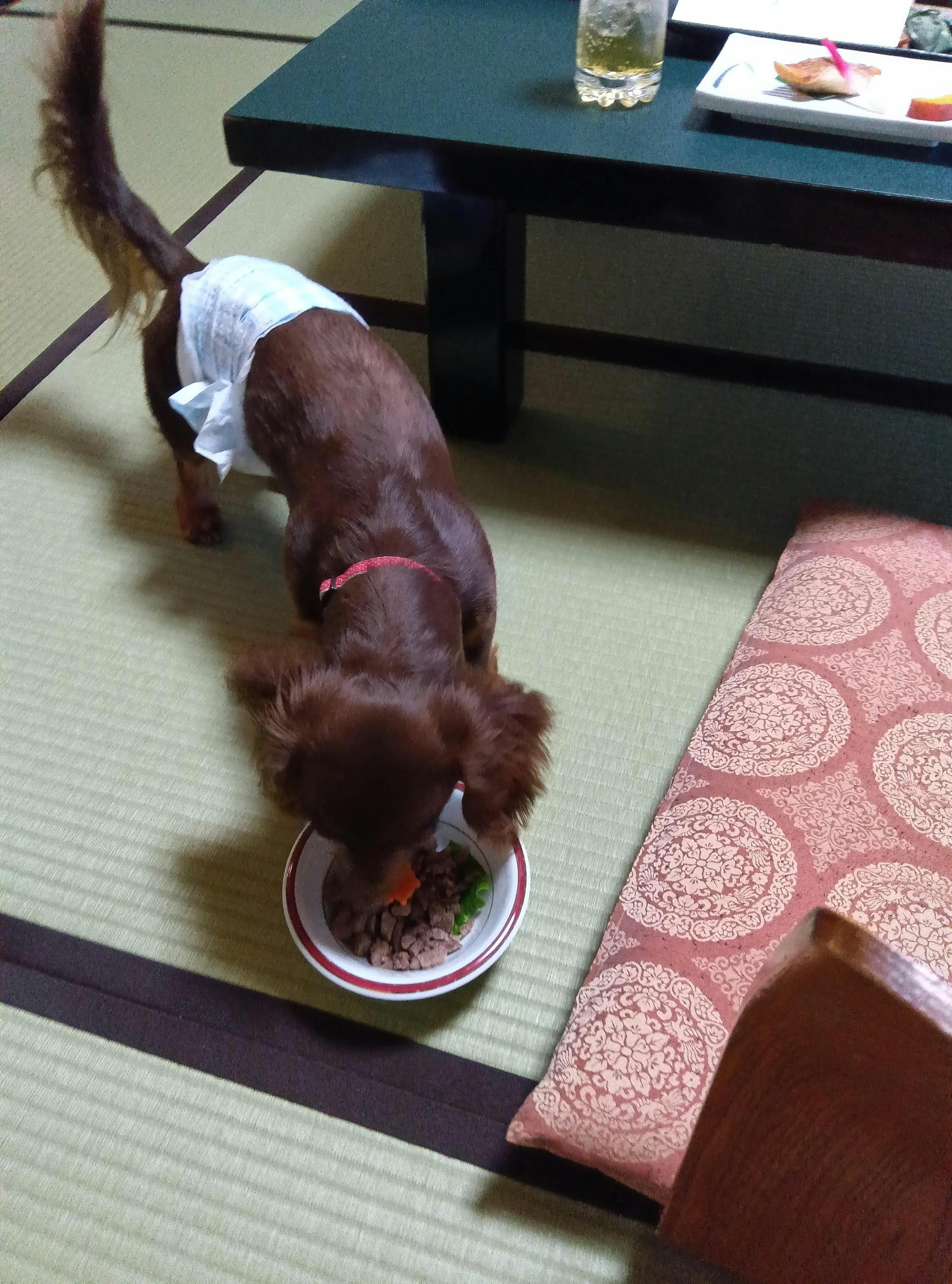 クチコミ画像