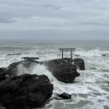クチコミ画像