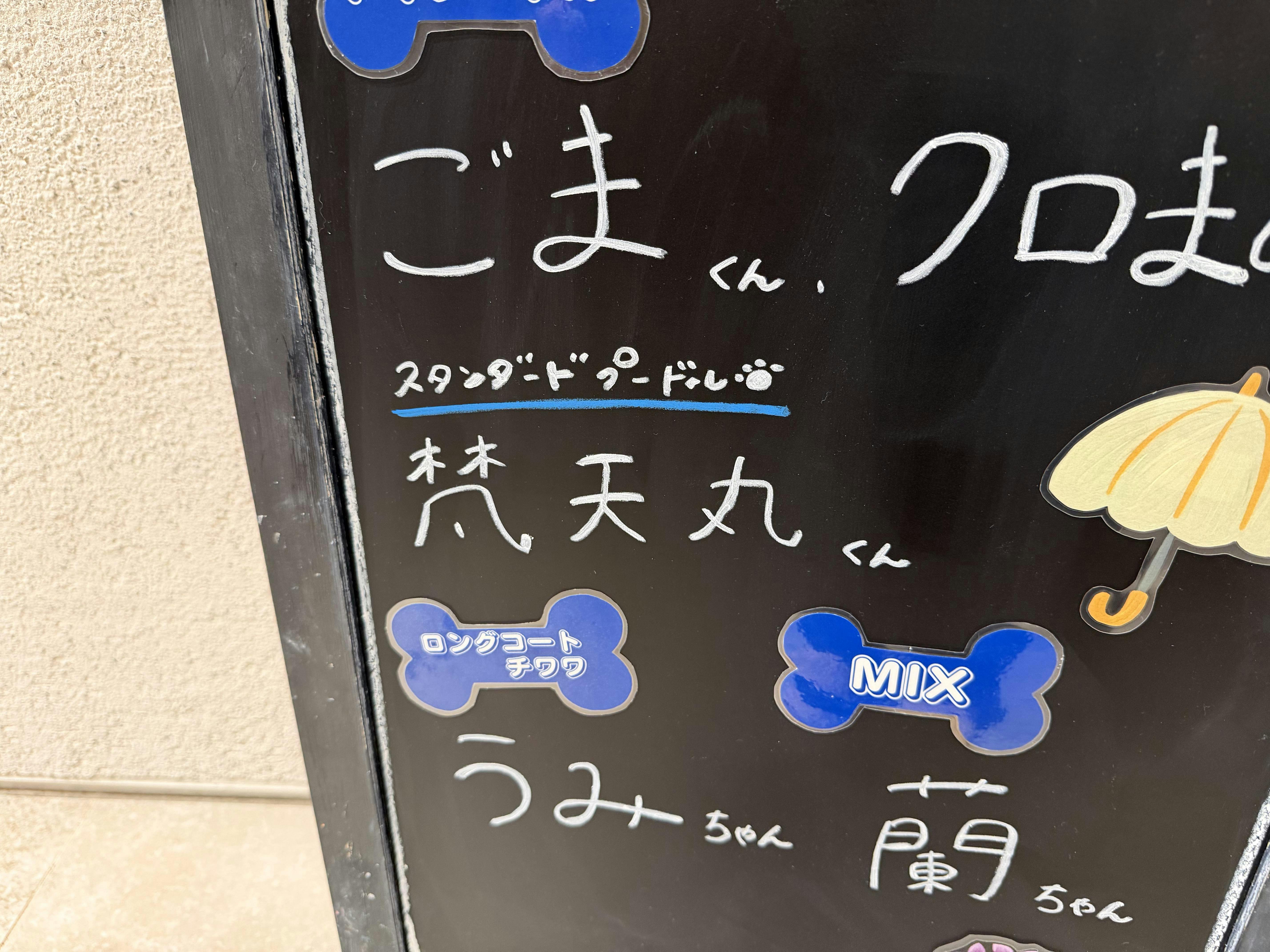 クチコミ画像