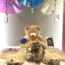 クチコミ画像