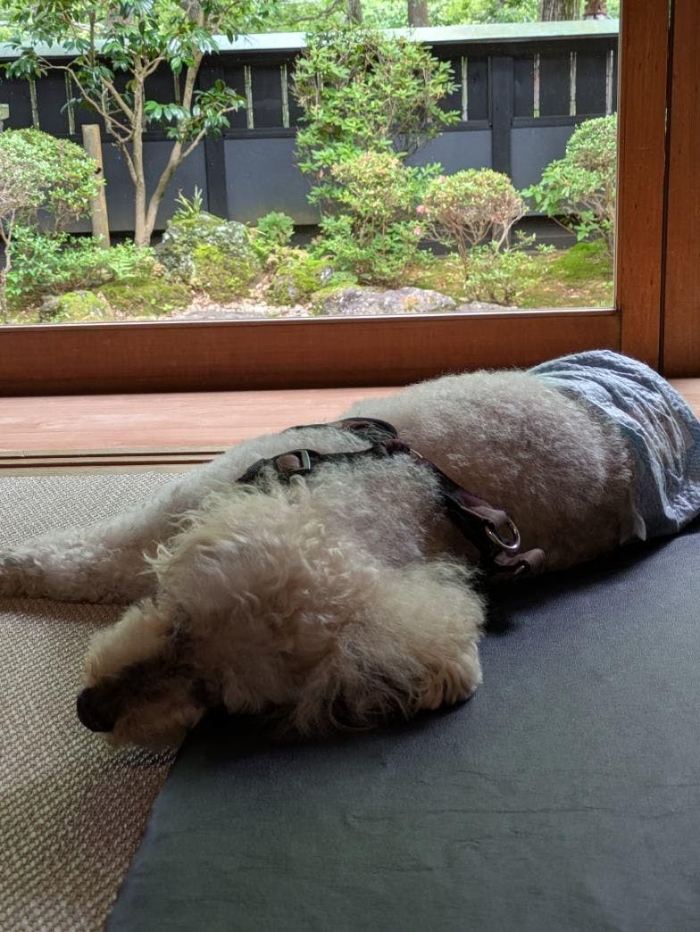 クチコミ画像