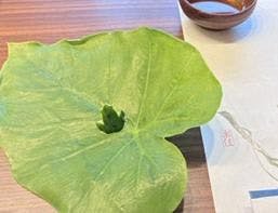 クチコミ画像